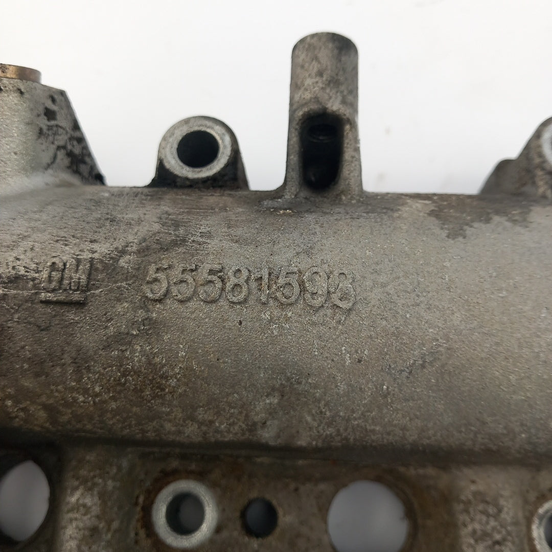55581593