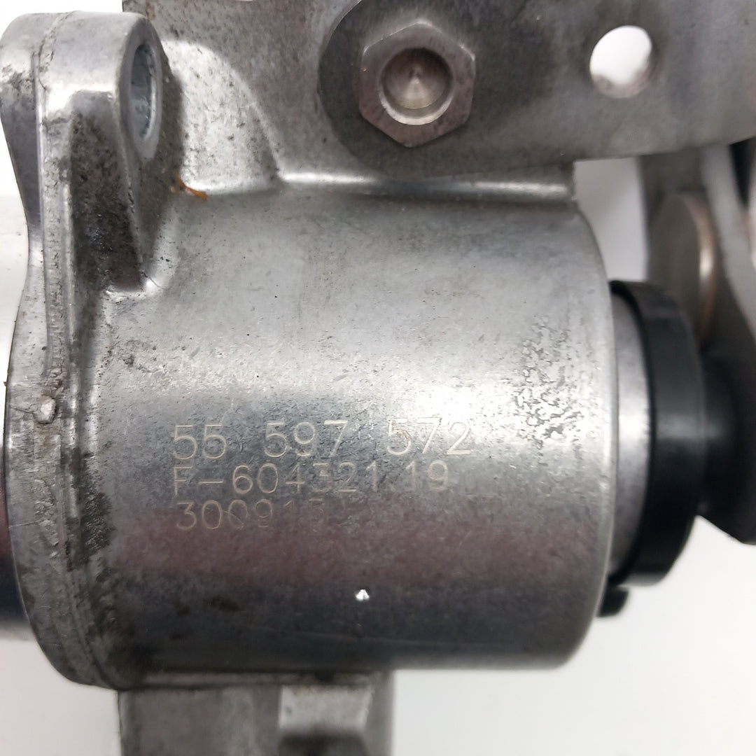 55597572