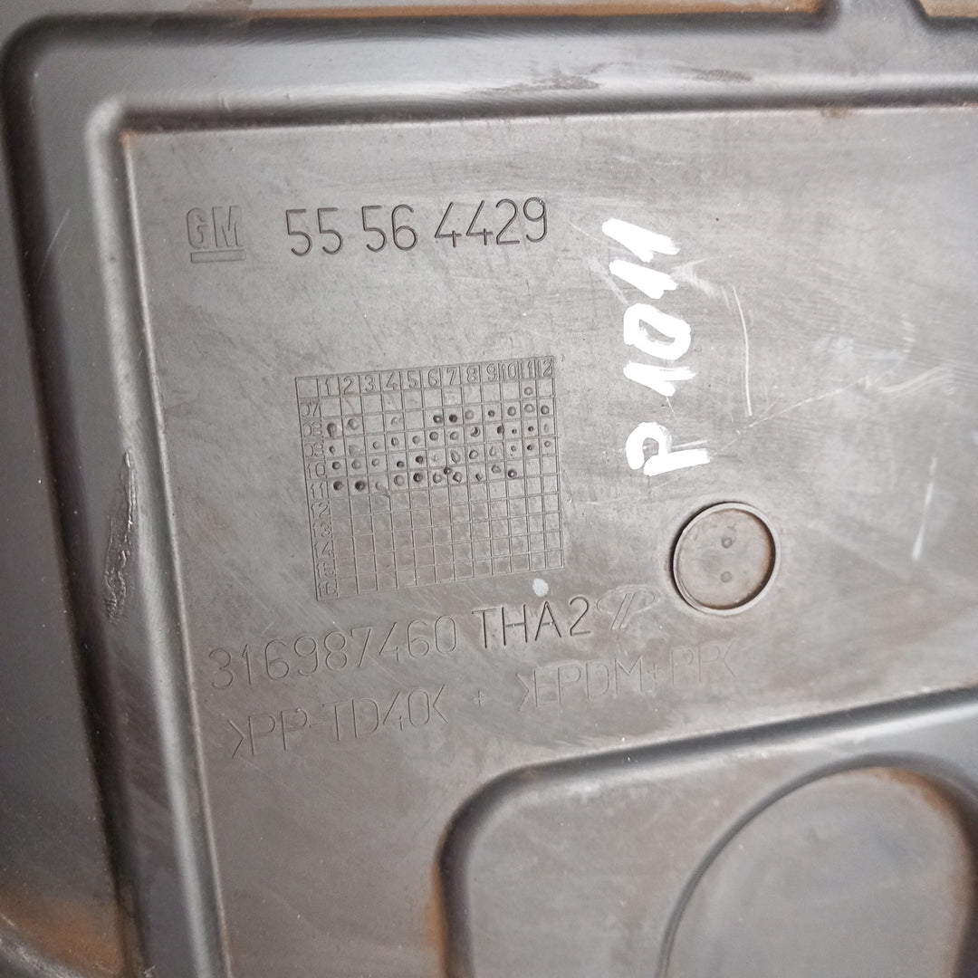 55564429