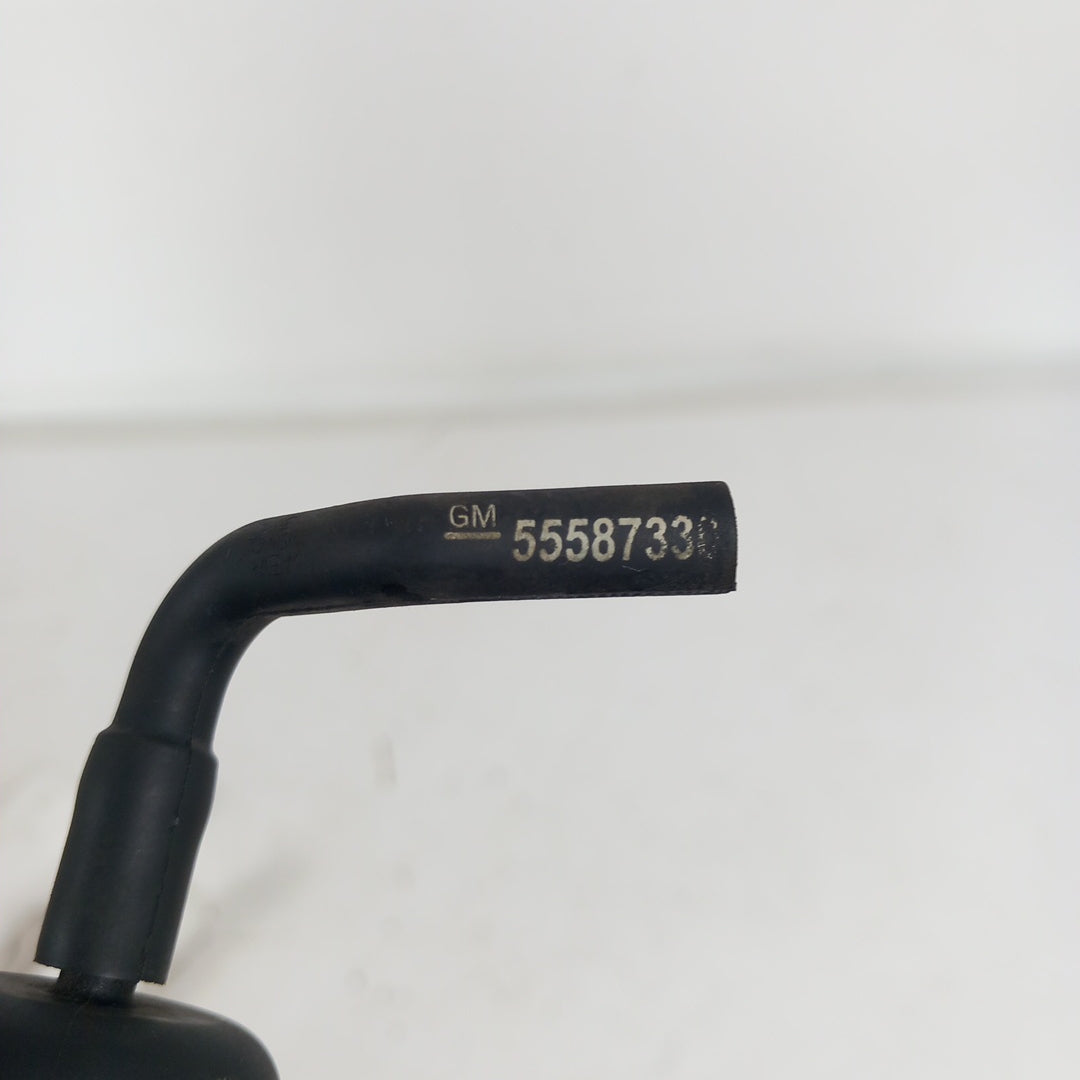 55587330