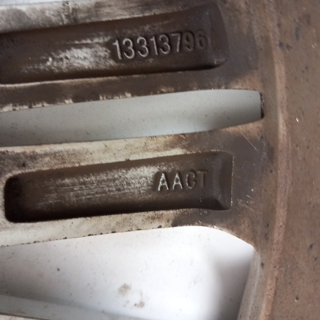 13313796 AACT