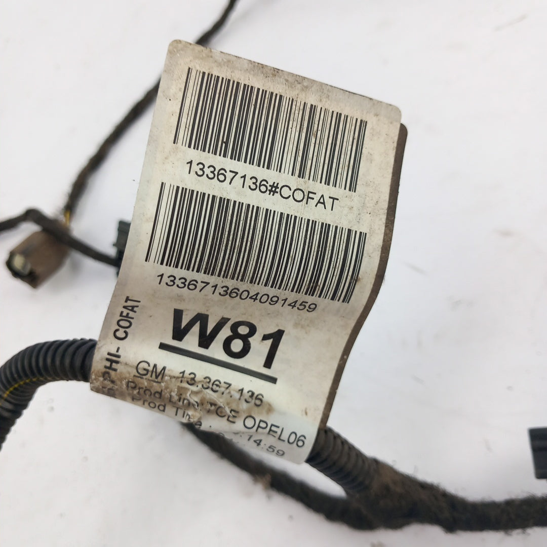 13367136, W81